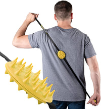 Mini Cactus Scratcher
