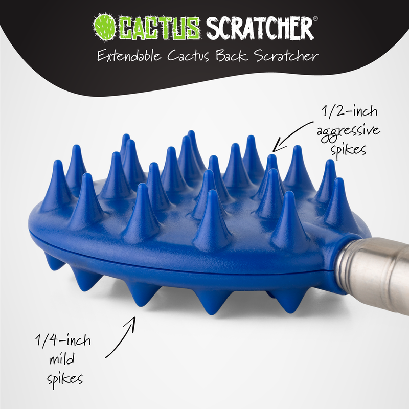 Cactus Scratcher on a BIG stick