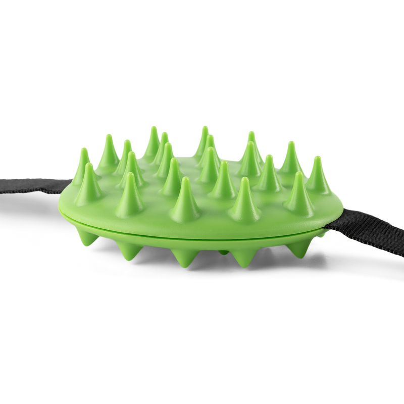 Mini Cactus Scratcher