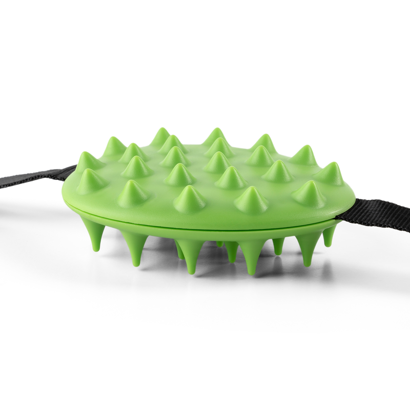Mini Cactus Scratcher