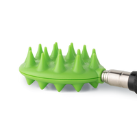 Cactus Scratcher on a Stick