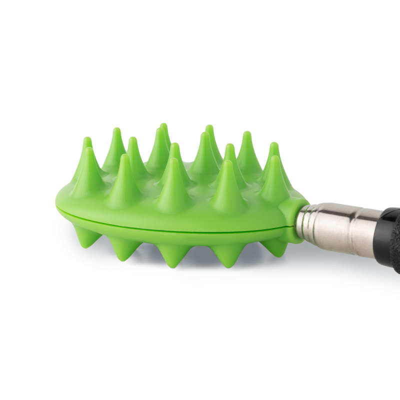 Cactus Scratcher on a Stick