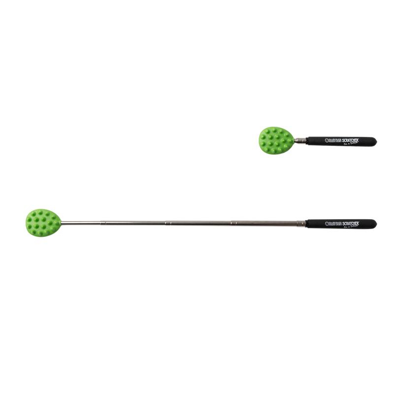 Cactus Scratcher on a Stick