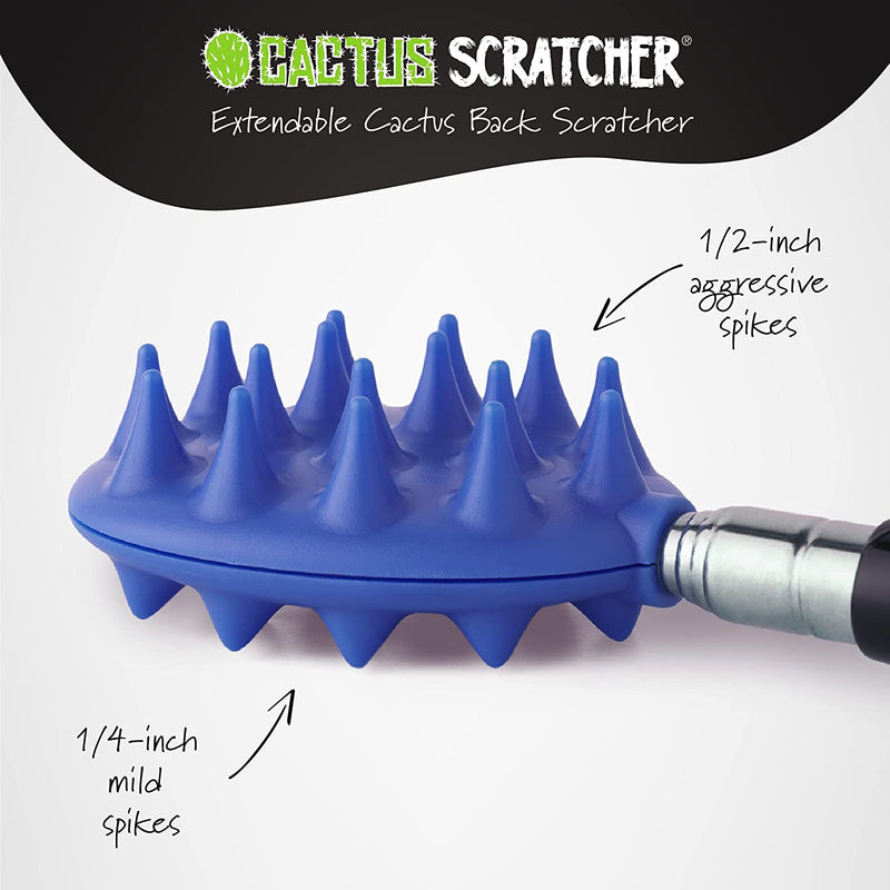 Cactus Scratcher on a Stick
