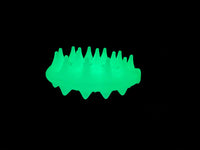 Cactus Scratcher on a Stick