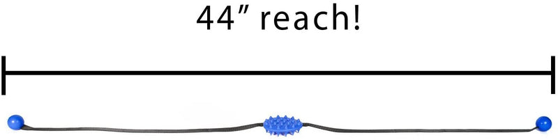Mini Cactus Scratcher