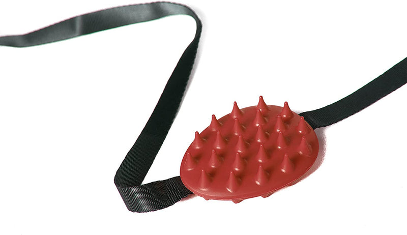 Mini Cactus Scratcher