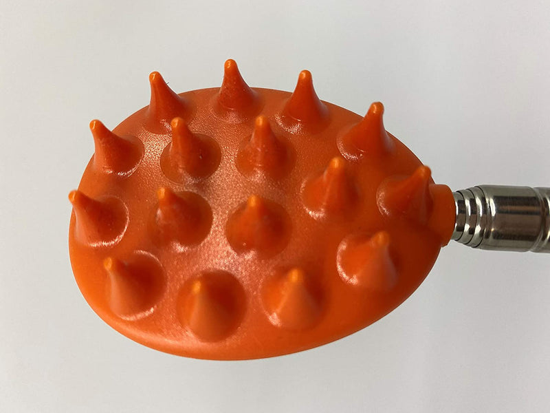 Cactus Scratcher on a Stick