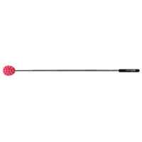 Cactus Scratcher on a Stick