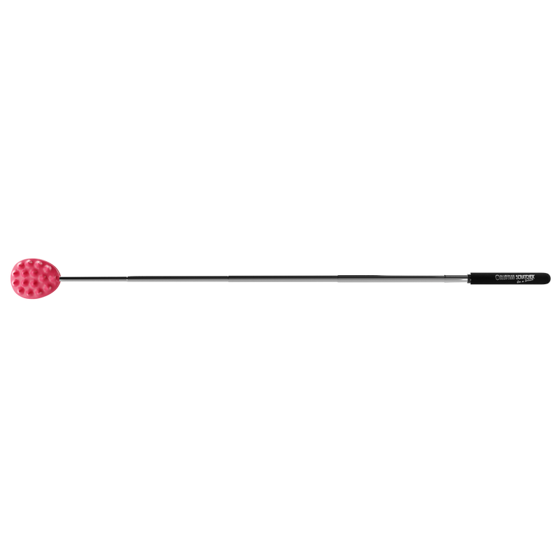 Cactus Scratcher on a Stick