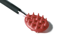 Cactus Scratcher on a Stick