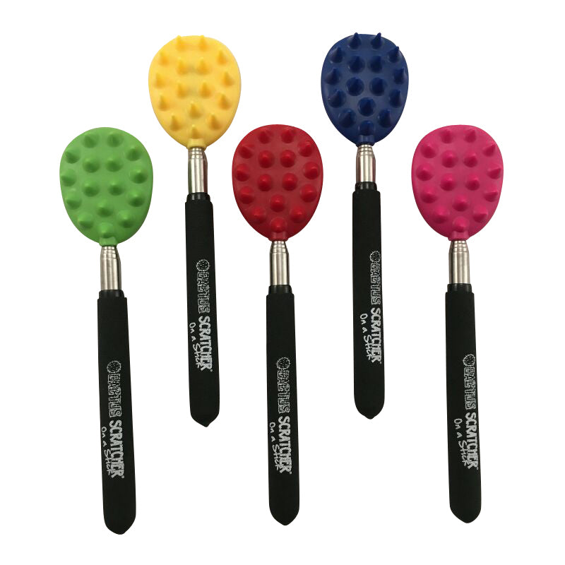 Cactus Scratcher on a Stick