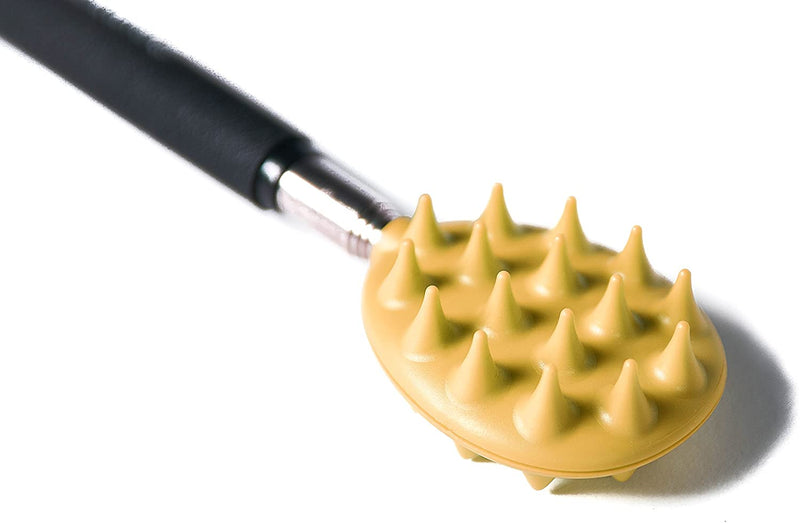 Cactus Scratcher on a Stick