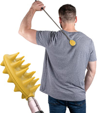 Cactus Scratcher on a Stick